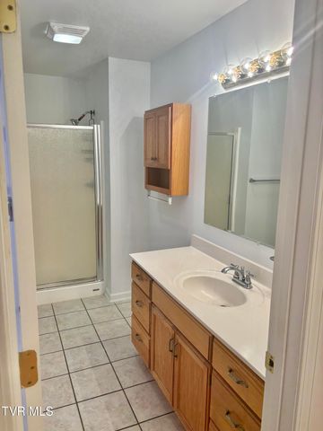 114 Butterfly Court, Limestone, TN 37681