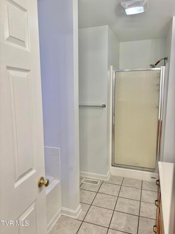 114 Butterfly Court, Limestone, TN 37681