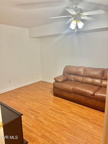 114 Butterfly Court, Limestone, TN 37681