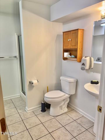 114 Butterfly Court, Limestone, TN 37681