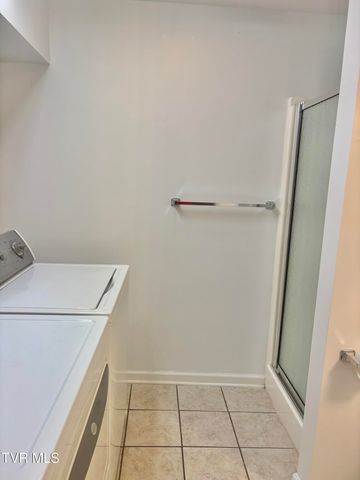 114 Butterfly Court, Limestone, TN 37681