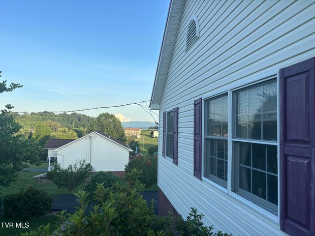 114 Butterfly Court, Limestone, TN 37681