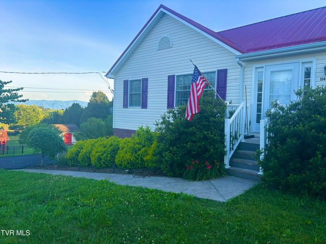 114 Butterfly Court, Limestone, TN 37681