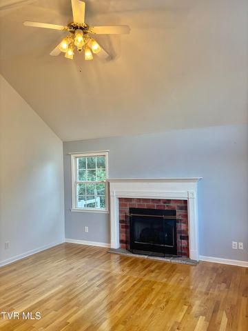 114 Butterfly Court, Limestone, TN 37681