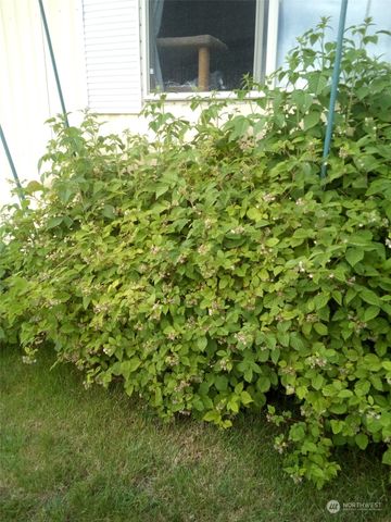 1458 SE Sandpiper Lane, College Place, WA 99324