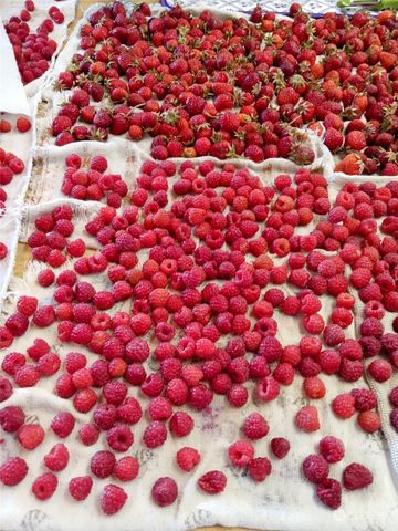 1458 SE Sandpiper Lane, College Place, WA 99324