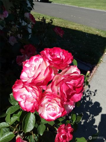 1458 SE Sandpiper Lane, College Place, WA 99324