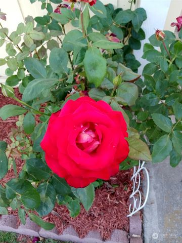 1458 SE Sandpiper Lane, College Place, WA 99324