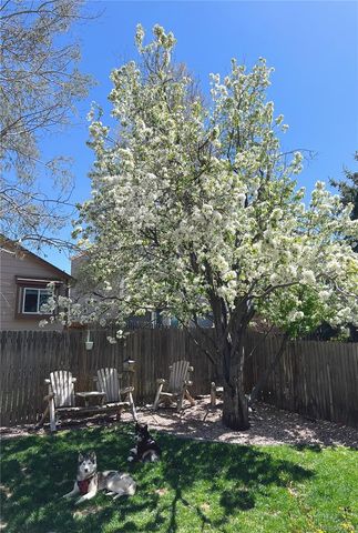 5011 Rushford Place, Colorado Springs, CO 80923