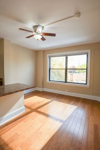 5326 S cornell Avenue 411, Chicago, IL 60615