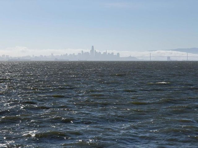 1008 Fontana Drive, Alameda, CA 94502