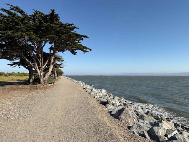 1008 Fontana Drive, Alameda, CA 94502