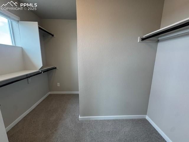 9228 Kurie Mine Lane, Colorado Springs, CO 80908