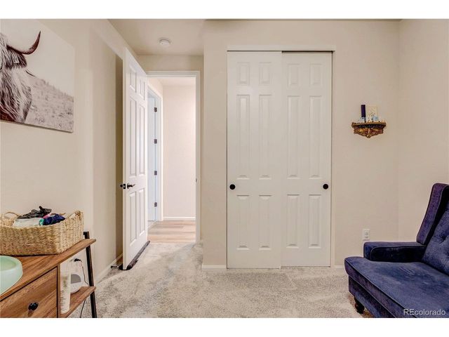 361 N Edge Cliff St, Castle Rock, CO 80104