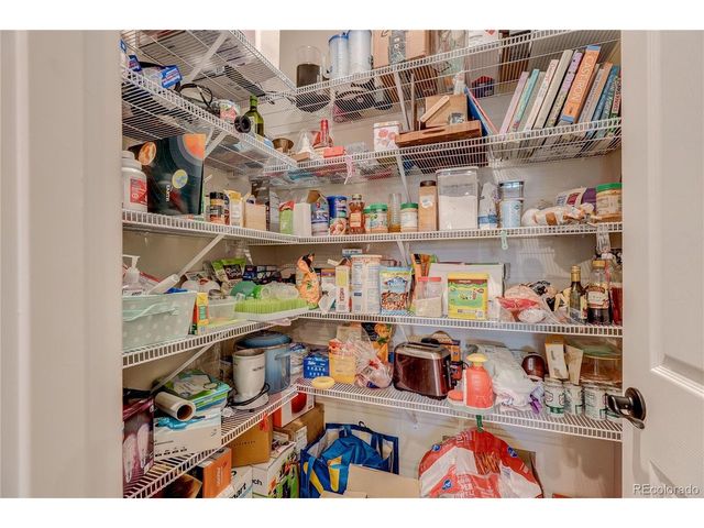 361 N Edge Cliff St, Castle Rock, CO 80104