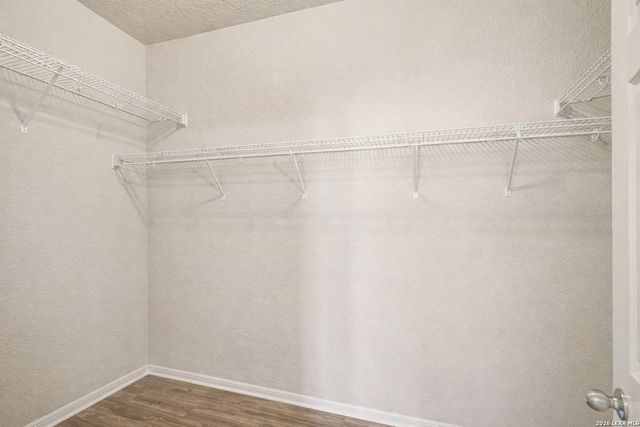 213 wildcat, Cibolo, TX 78108