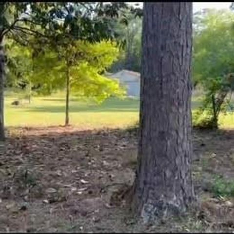 220 Cherokee Trail, Livingston, TX 77351