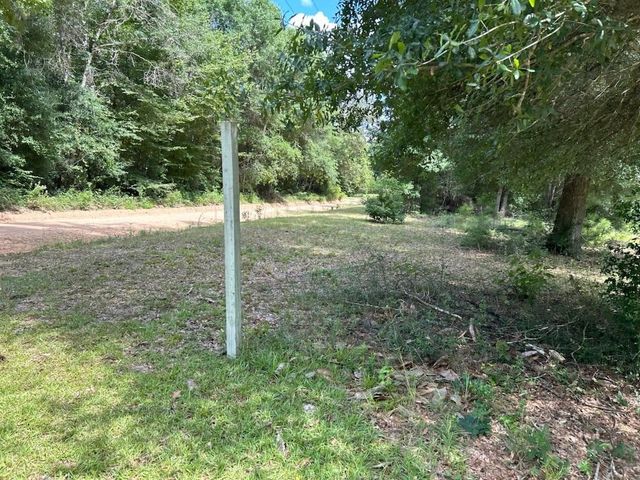 220 Cherokee Trail, Livingston, TX 77351