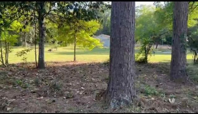 220 Cherokee Trail, Livingston, TX 77351