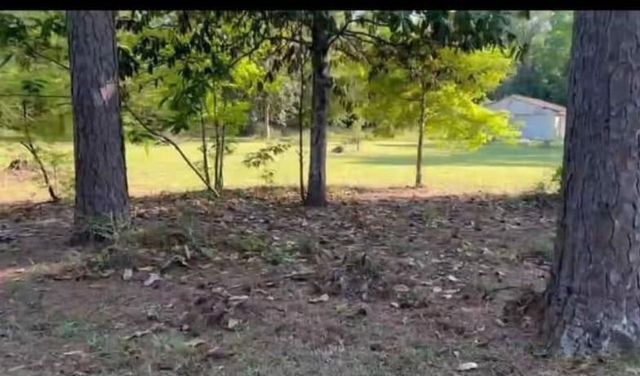 220 Cherokee Trail, Livingston, TX 77351