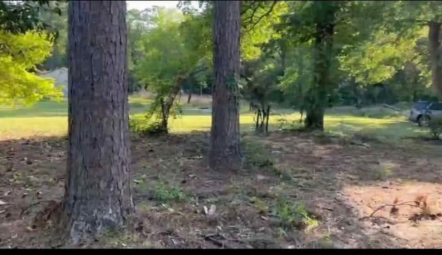 220 Cherokee Trail, Livingston, TX 77351