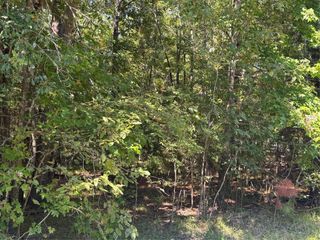 00 Caney Creek, Huntsville, TX 77320