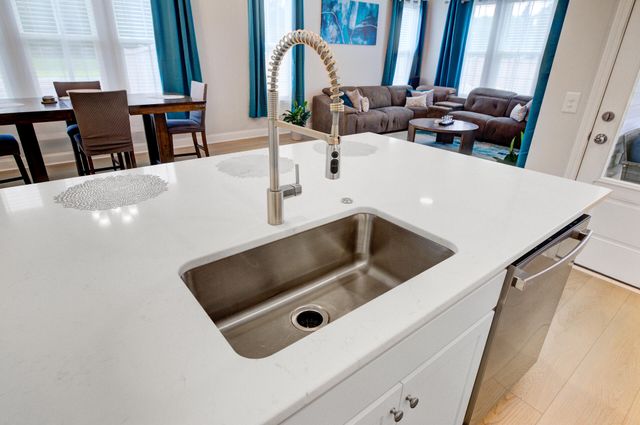 254 Red Bluff Street, Summerville, SC 29483