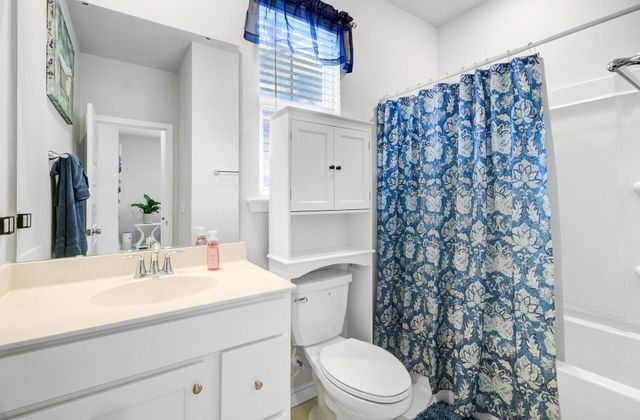 254 Red Bluff Street, Summerville, SC 29483