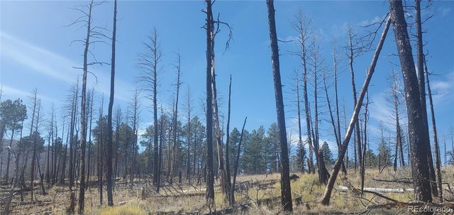 Lot 585 Leslie Loop, Fort Garland, CO 81133