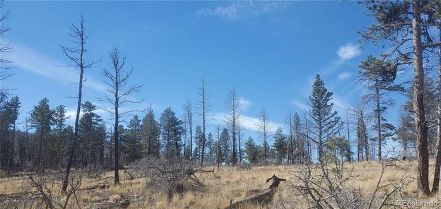 Lot 585 Leslie Loop, Fort Garland, CO 81133