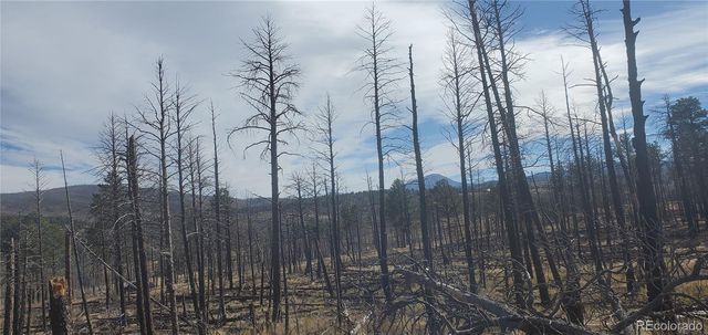 Lot 585 Leslie Loop, Fort Garland, CO 81133