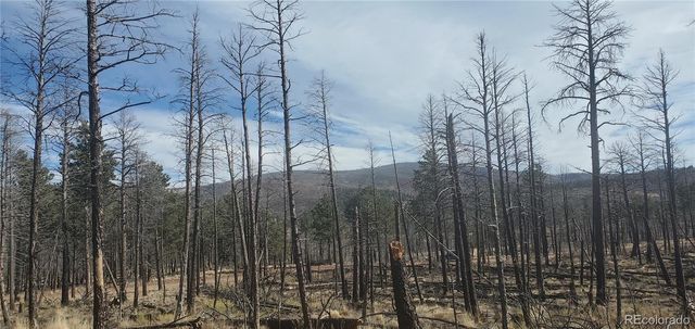 Lot 585 Leslie Loop, Fort Garland, CO 81133