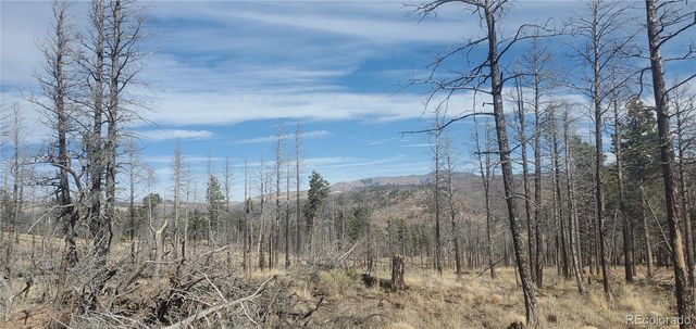 Lot 585 Leslie Loop, Fort Garland, CO 81133