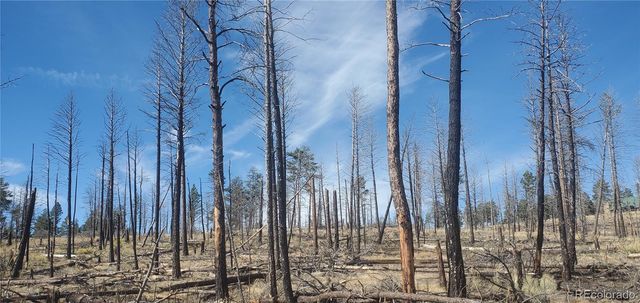 Lot 585 Leslie Loop, Fort Garland, CO 81133