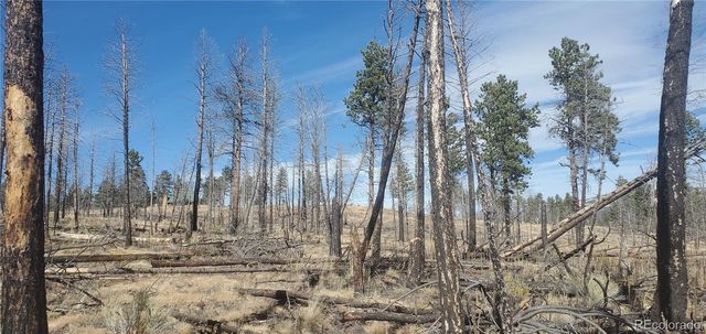 Lot 585 Leslie Loop, Fort Garland, CO 81133