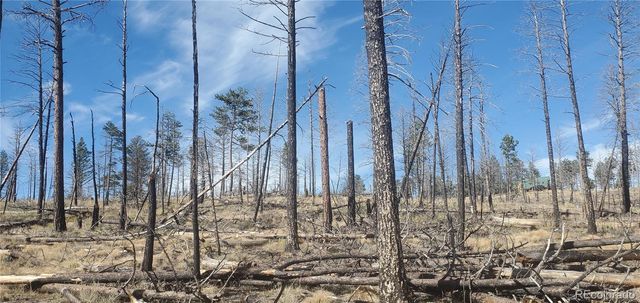 Lot 585 Leslie Loop, Fort Garland, CO 81133