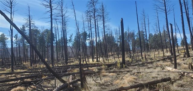 Lot 585 Leslie Loop, Fort Garland, CO 81133