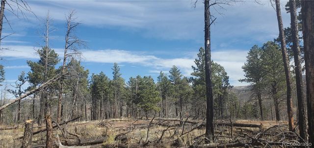 Lot 585 Leslie Loop, Fort Garland, CO 81133