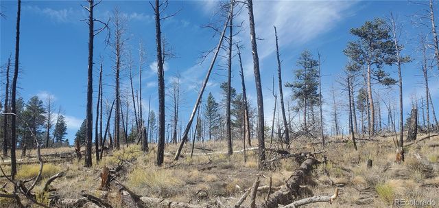 Lot 585 Leslie Loop, Fort Garland, CO 81133