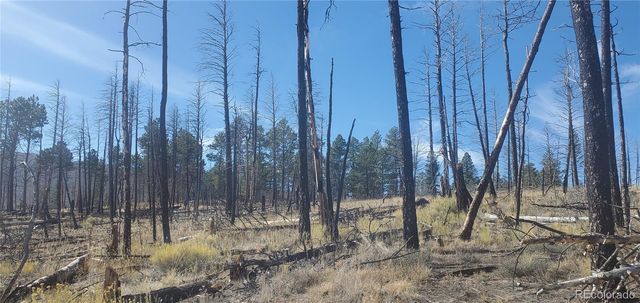 Lot 585 Leslie Loop, Fort Garland, CO 81133