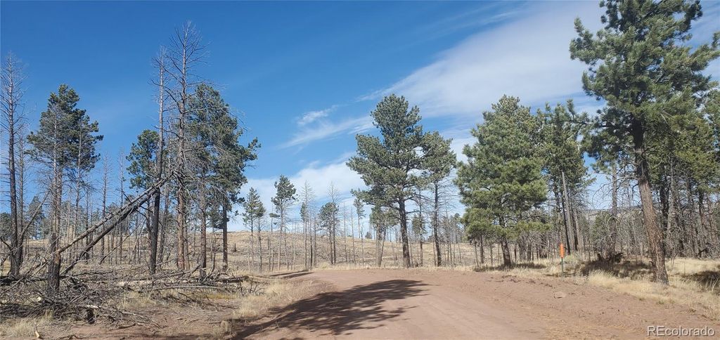 Lot 585 Leslie Loop, Fort Garland, CO 81133