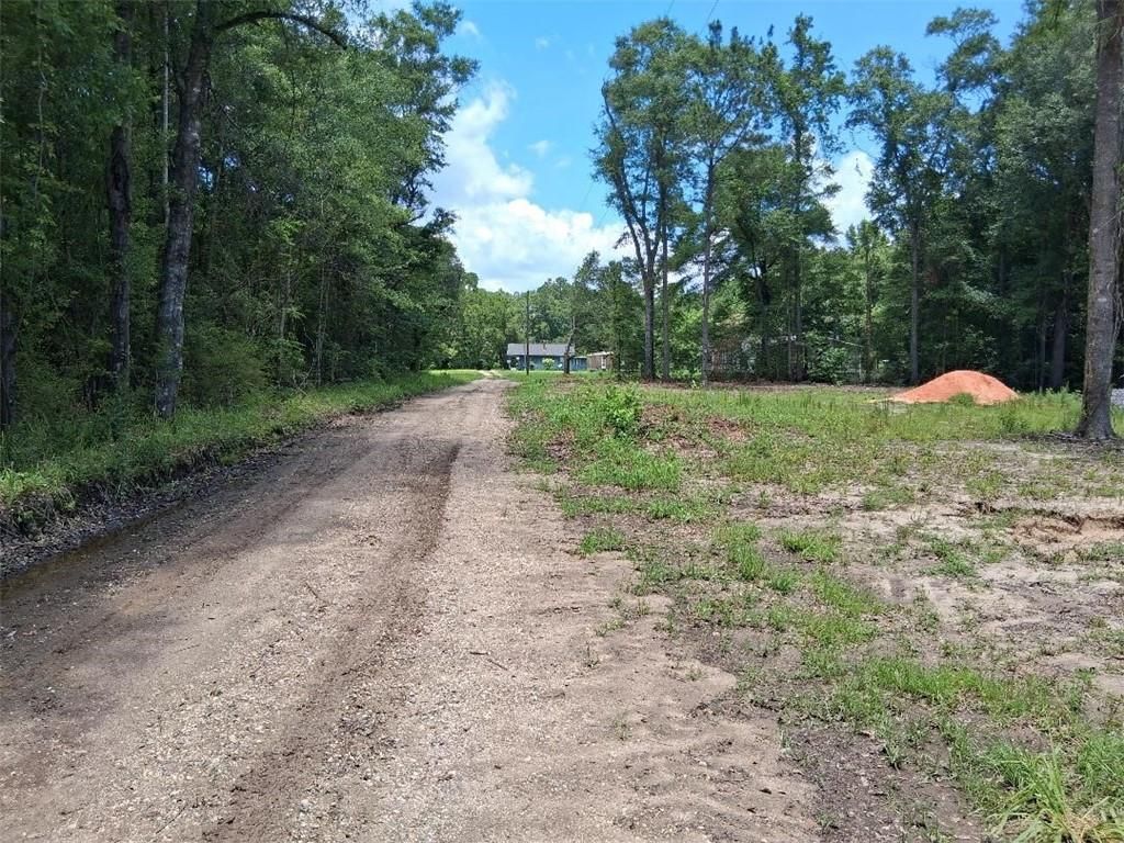 0 Dan Churchman Road, Axis, AL 36505 — photo 2