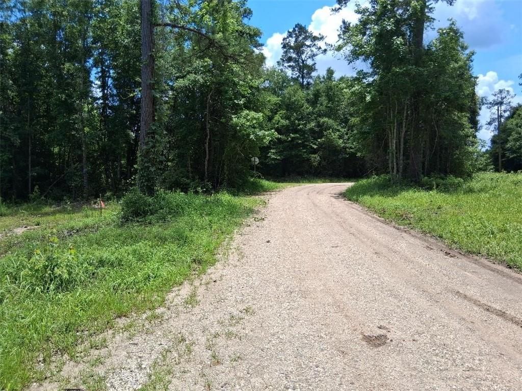 0 Dan Churchman Road, Axis, AL 36505 — photo 3