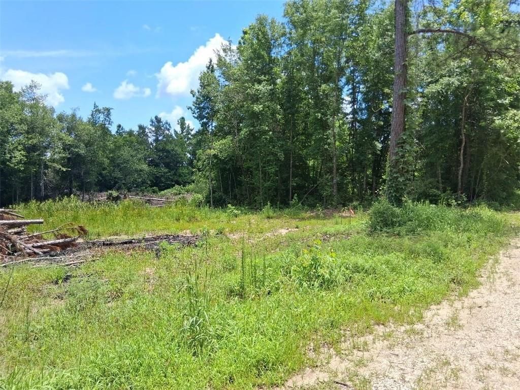 0 Dan Churchman Road, Axis, AL 36505 — photo 4