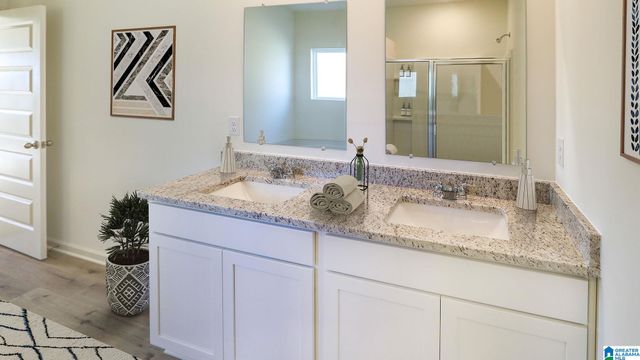9890 CHELSEA PARK TRAIL, Chelsea, AL 35043