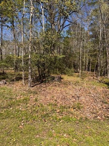 11 Cherry Hills Drive, Coldspring, TX 77331