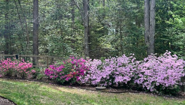 6604 Willow Chase Drive, Willow Springs, NC 27592
