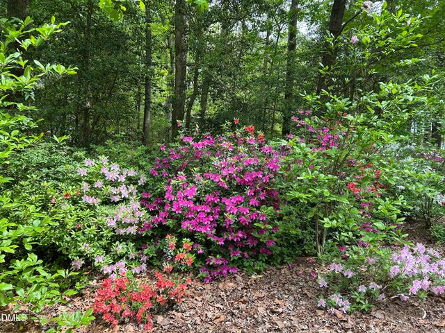 6604 Willow Chase Drive, Willow Springs, NC 27592