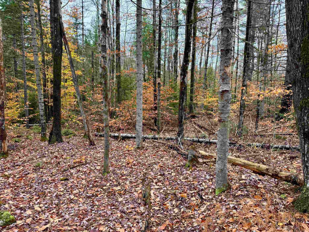 0 Washington Drive, Washington, NH 03280