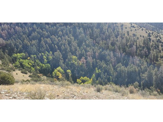 5820 Covington Rd, Fort Garland, CO 81133